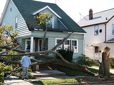 A man standing in front of a house with a tree fallen on it.